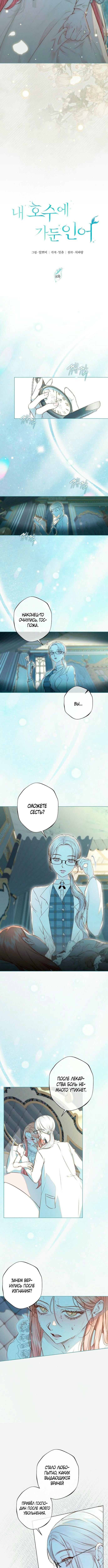 Страница 6 главы 8 манги Русал, застрявший в моем озере / The Merman Trapped in My Lake