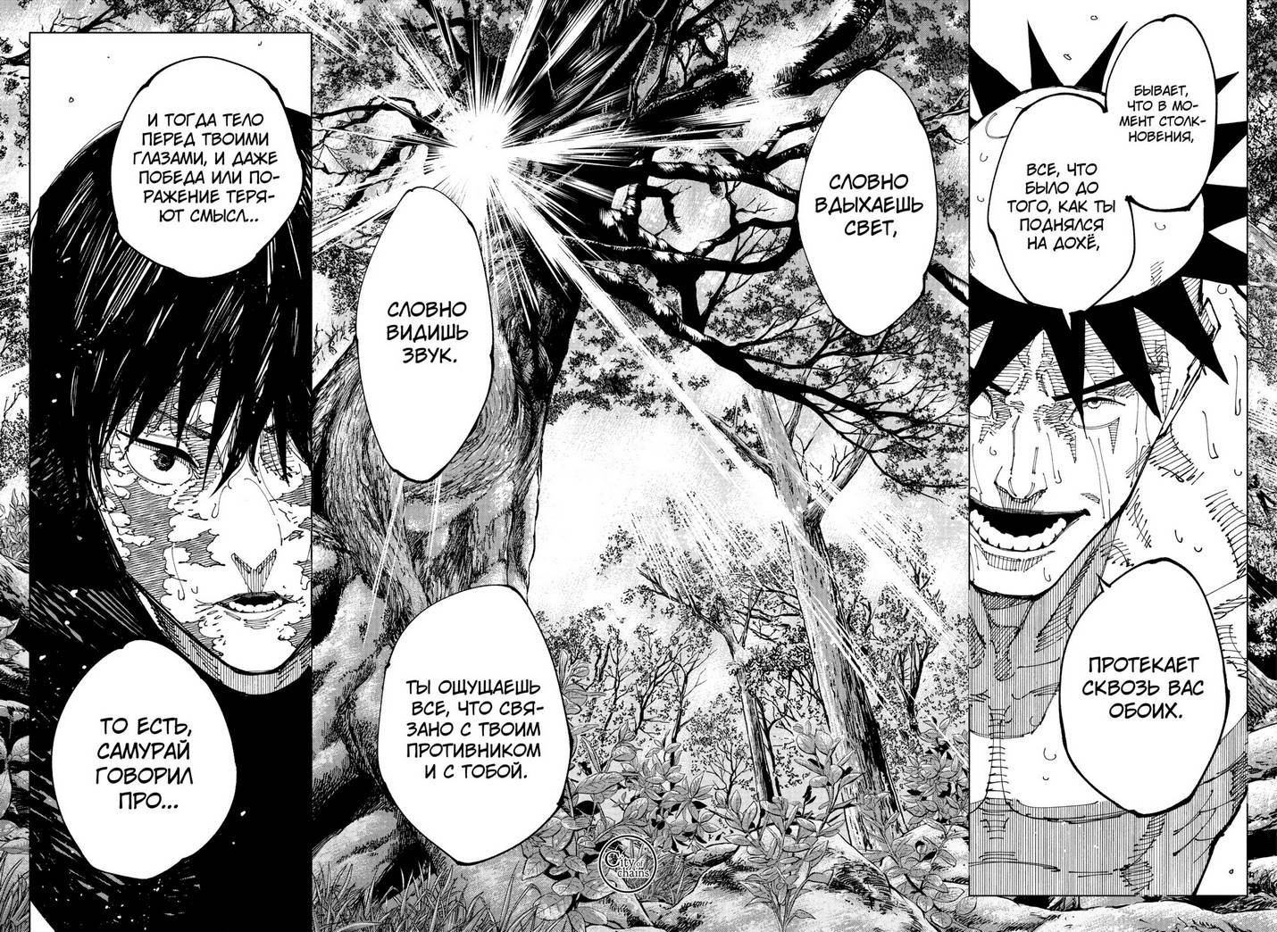 Страница 14 главы 196 манги Магическая битва / Jujutsu Kaisen