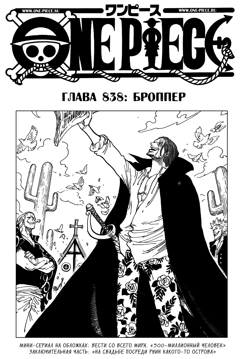 Страница 25 главы 838.5 манги Ван Пис / One Piece