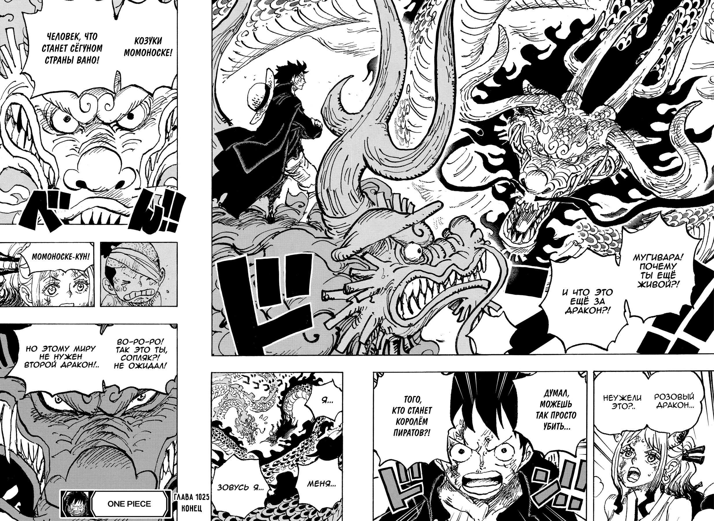 Страница 15 главы 1025 манги Ван Пис / One Piece