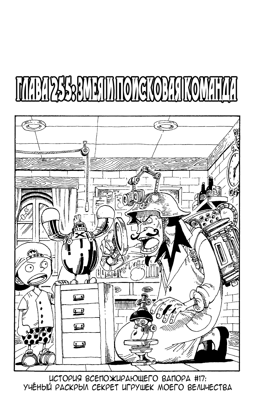Страница 17 главы 264.5 манги Ван Пис / One Piece