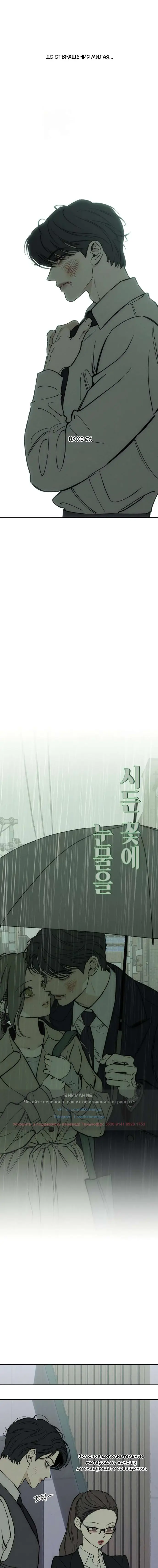 Страница 13 главы 60 манги Слёзы на увядших цветах / Tears on a Withered Flower