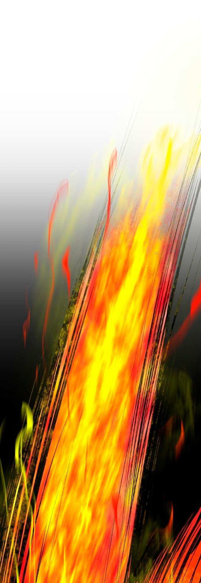 Страница 41 главы 5 манги Кости / Bones