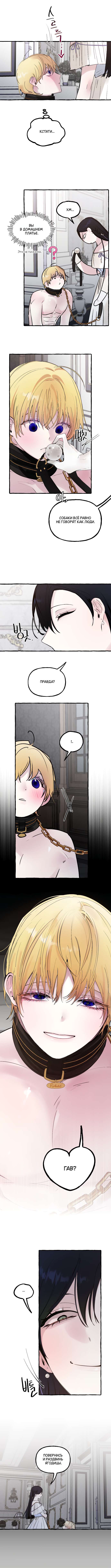 Страница 9 главы 53 манги В императорском саду живёт собака / In the Doghouse