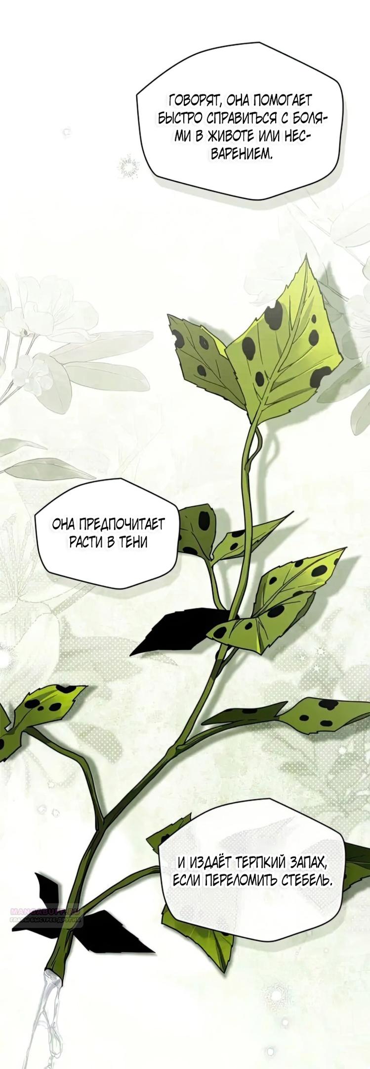 Страница 5 главы 117 манги Под дубом / Under the Oak Tree