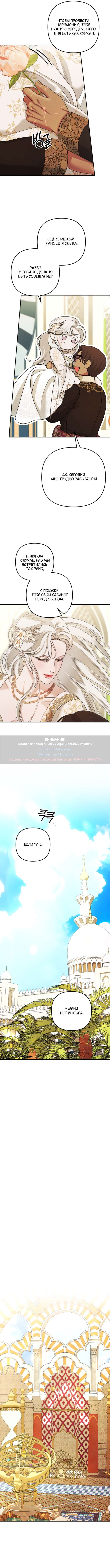 Страница 5 главы 65 манги Похищение невесты / Predator Marriage
