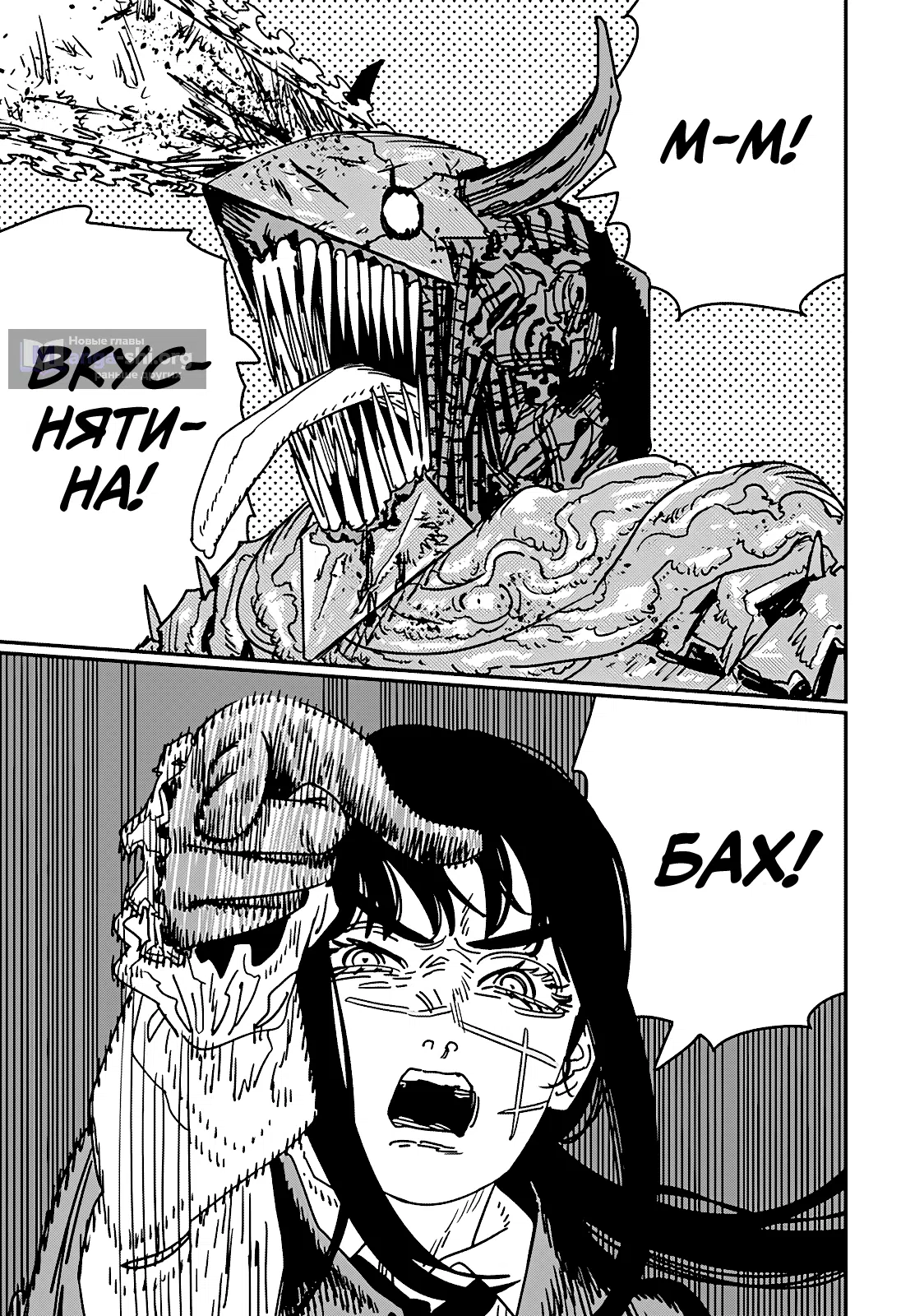 Страница 12 главы 223 манги Человек-бензопила 2 / Chainsaw Man 2