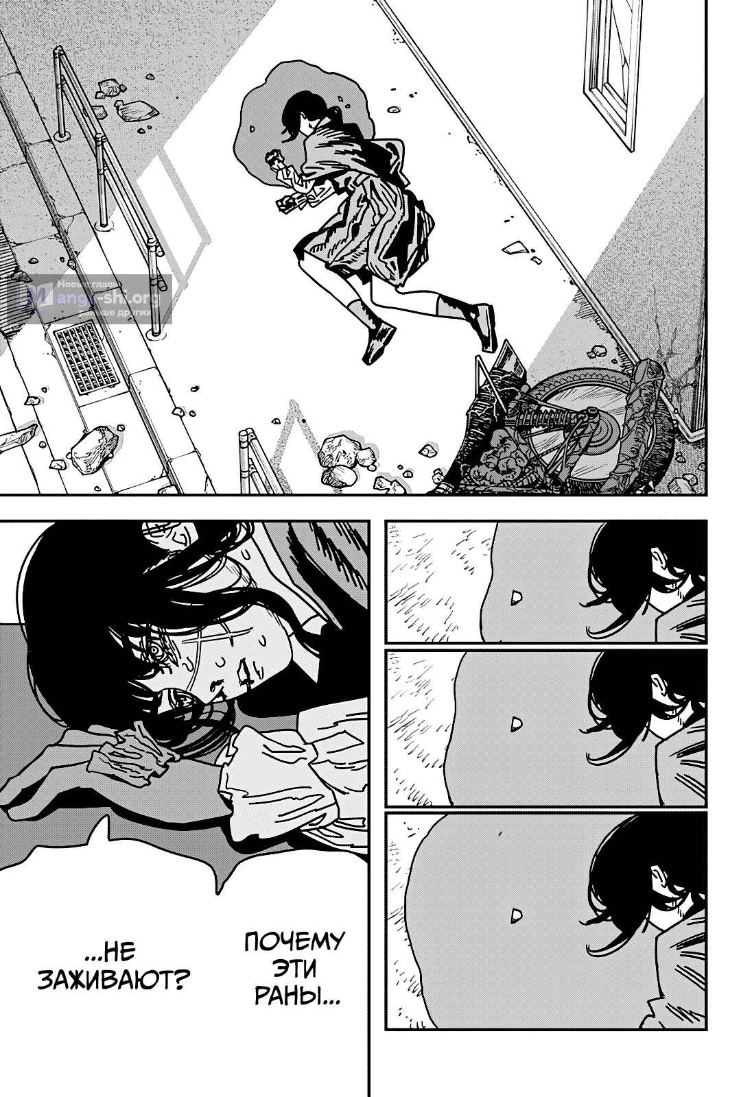 Страница 12 главы 228 манги Человек-бензопила 2 / Chainsaw Man 2