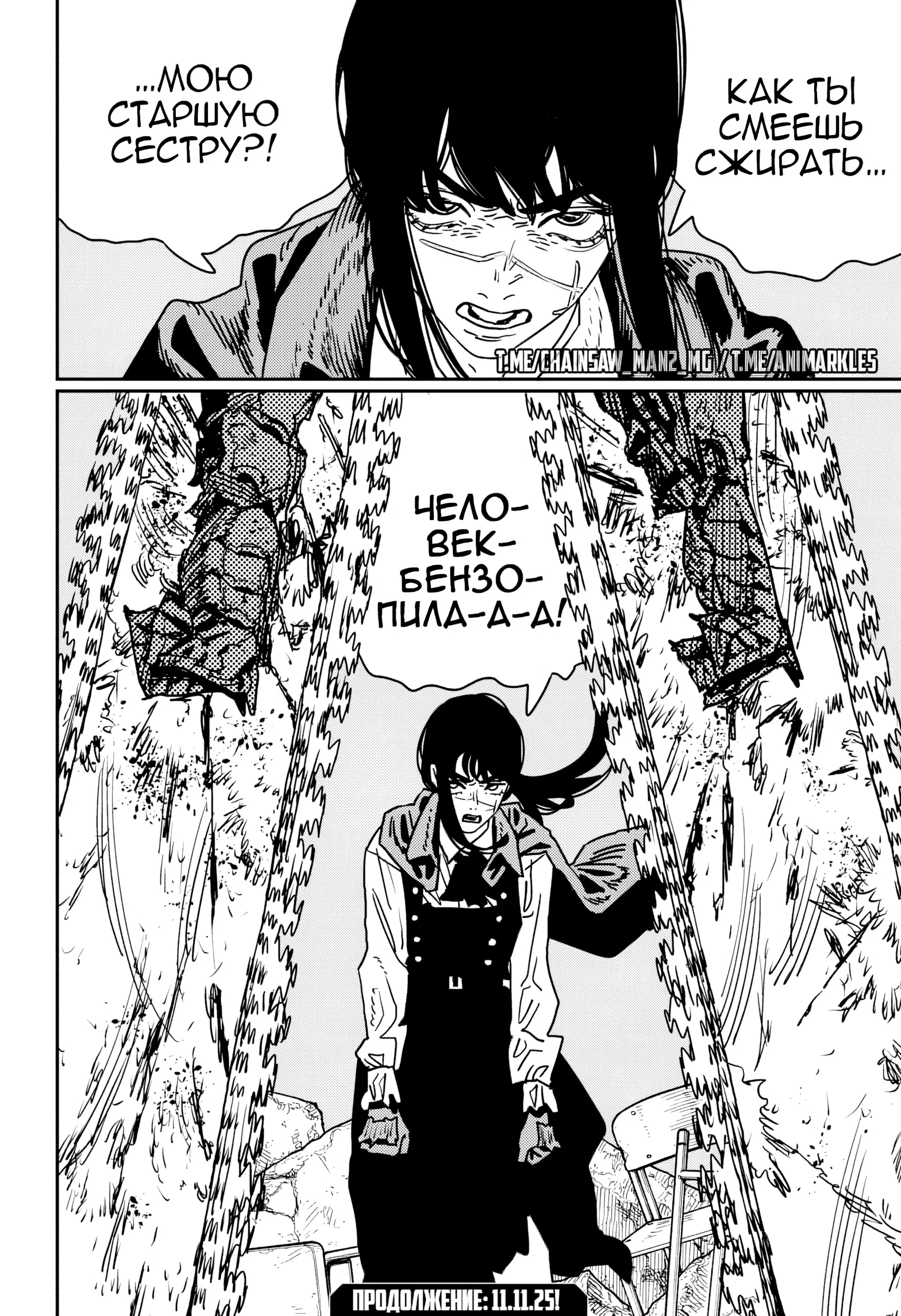 Страница 15 главы 219 манги Человек-бензопила 2 / Chainsaw Man 2