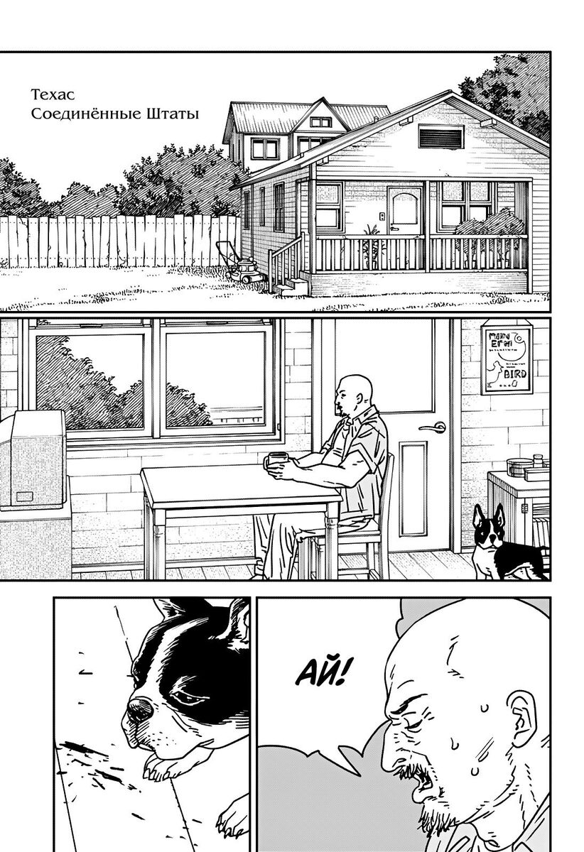 Страница 13 главы 177 манги Человек-бензопила 2 / Chainsaw Man 2