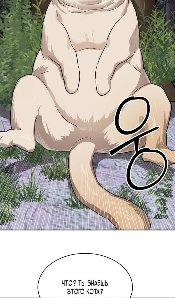 Страница 56 главы 31 манги Специальный госслужащий / Special Civil Servant
