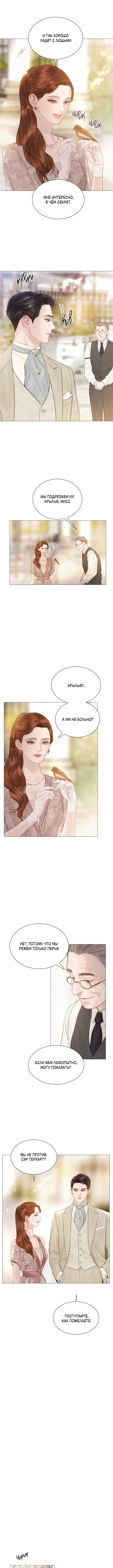 Страница 7 главы 11 манги Плачь, а лучше умоляй / Cry, or Better Yet, Beg