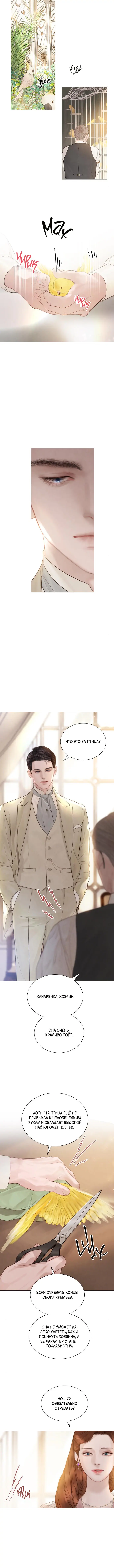 Страница 8 главы 11 манги Плачь, а лучше умоляй / Cry, or Better Yet, Beg