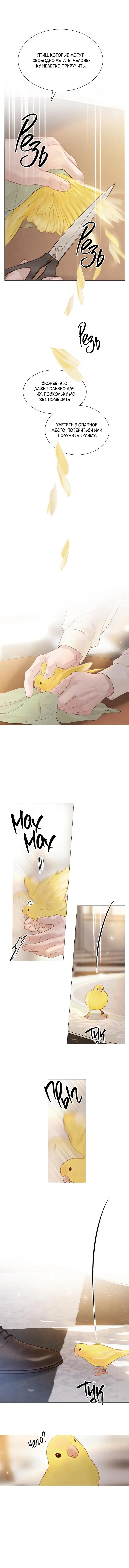 Страница 9 главы 11 манги Плачь, а лучше умоляй / Cry, or Better Yet, Beg