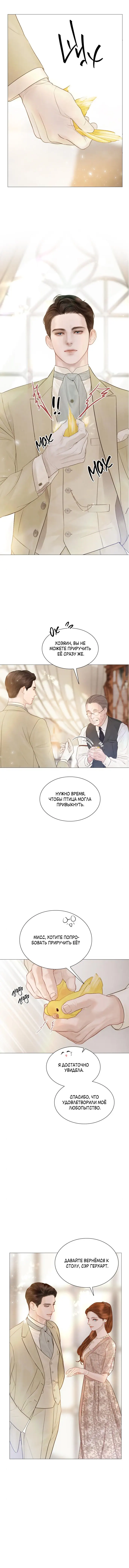 Страница 10 главы 11 манги Плачь, а лучше умоляй / Cry, or Better Yet, Beg