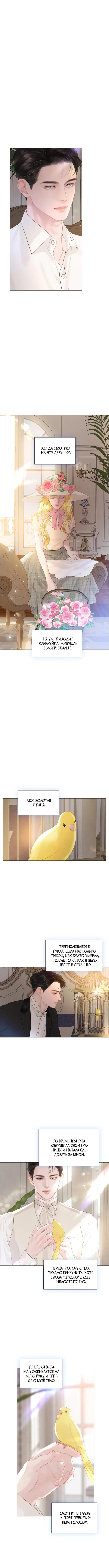 Страница 8 главы 16 манги Плачь, а лучше умоляй / Cry, or Better Yet, Beg