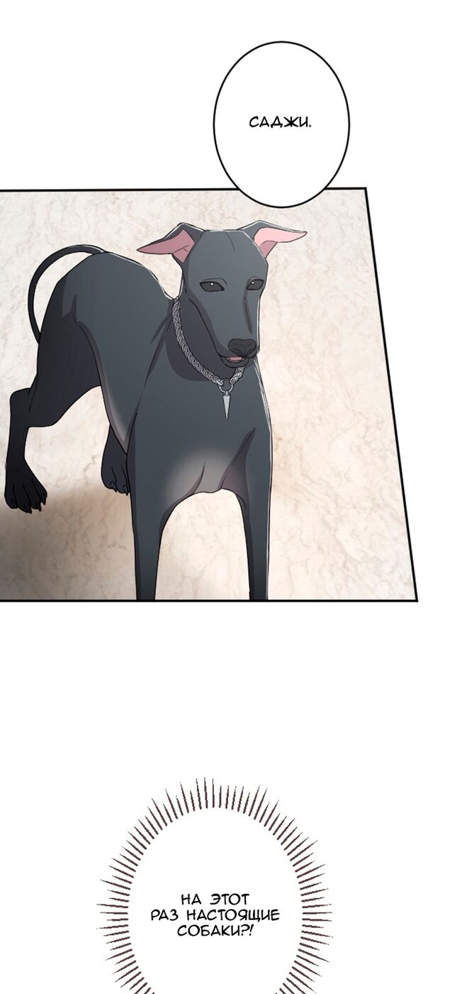 Страница 11 главы 33 манги Я паду вместе с императором / I Will Fall With the Emperor