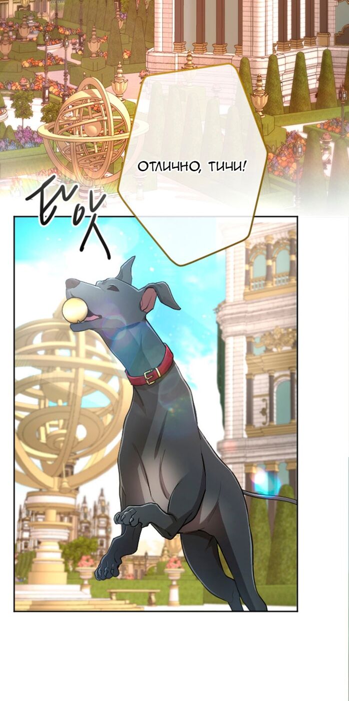 Страница 8 главы 74 манги Я паду вместе с императором / I Will Fall With the Emperor