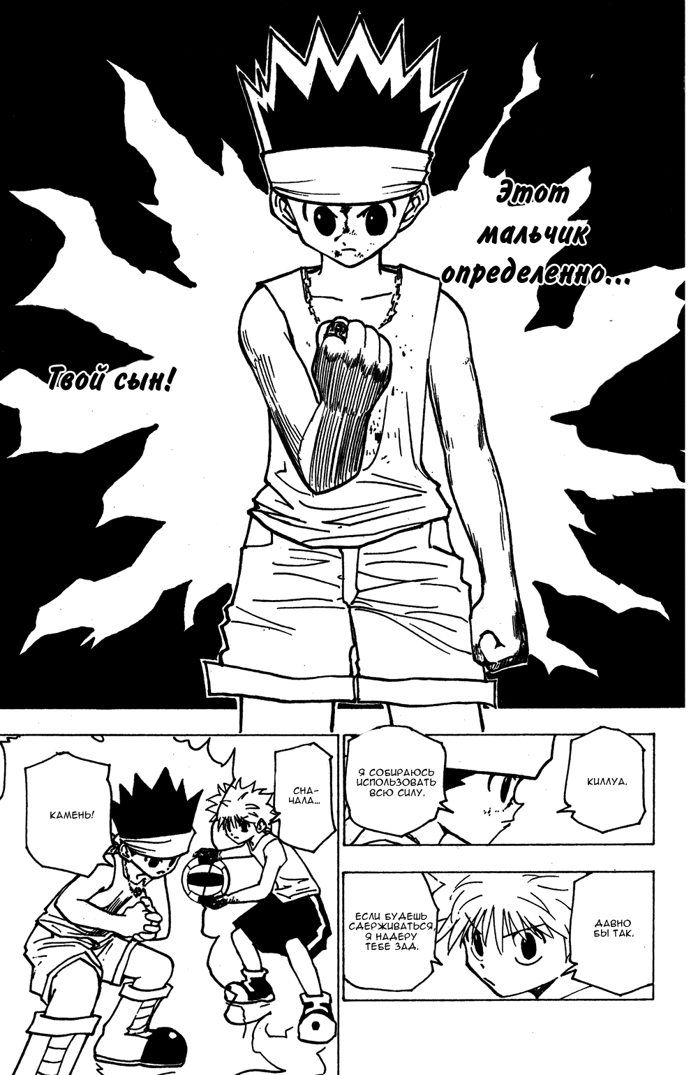 Страница 13 главы 167 манги Охотник х Охотник / Hunter x Hunter