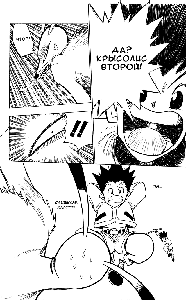 Страница 10 главы 4 манги Охотник х Охотник / Hunter x Hunter