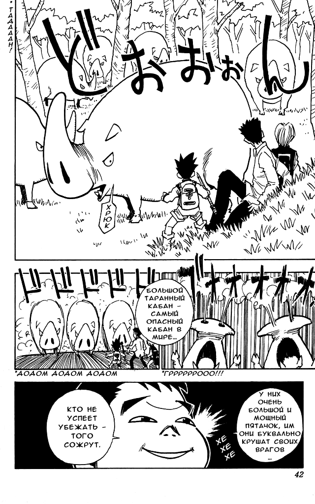 Страница 17 главы 10 манги Охотник х Охотник / Hunter x Hunter