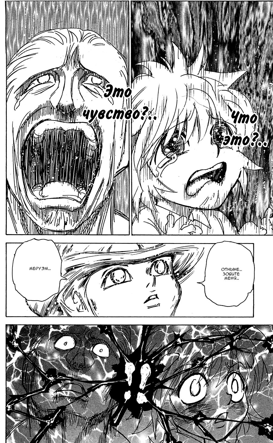 Страница 15 главы 299 манги Охотник х Охотник / Hunter x Hunter