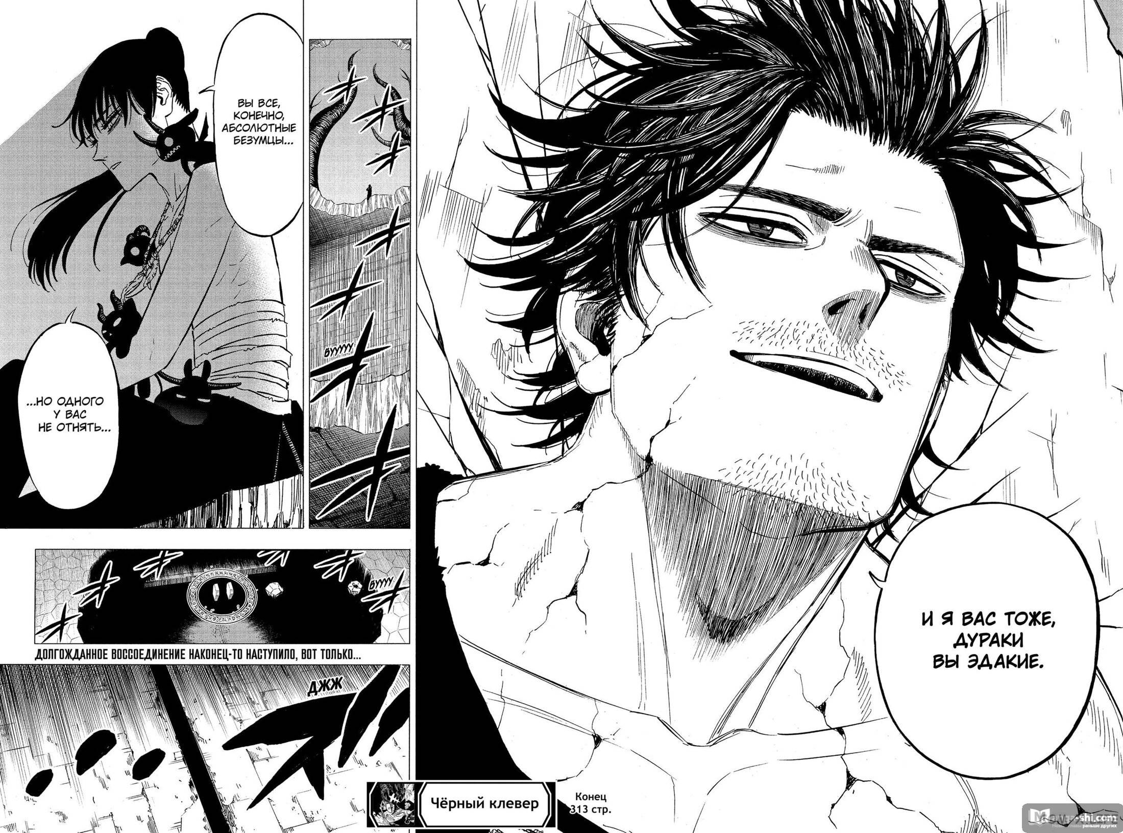 Страница 11 главы 313 манги Чёрный Клевер / Black Clover