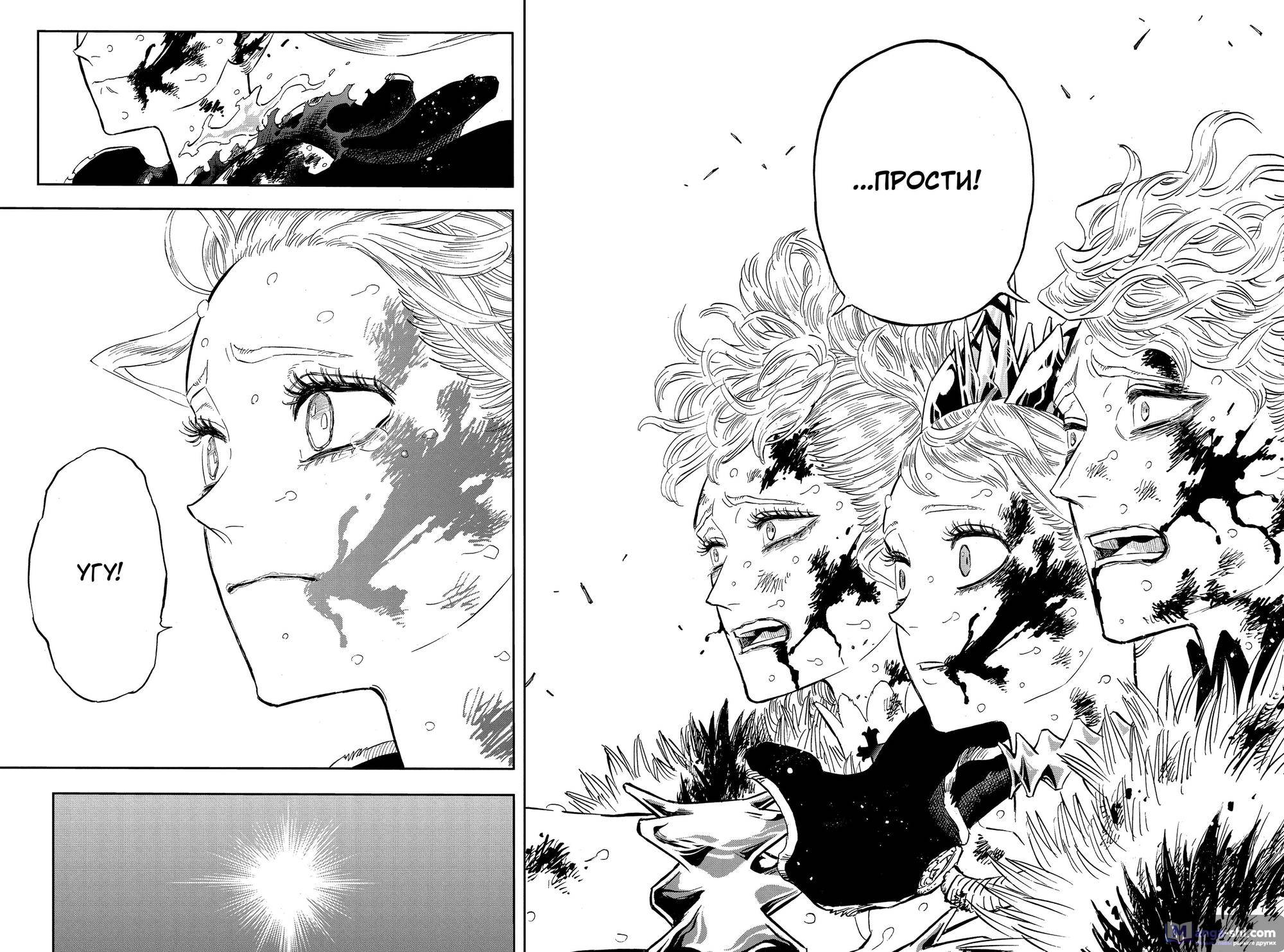 Страница 14 главы 373 манги Чёрный Клевер / Black Clover