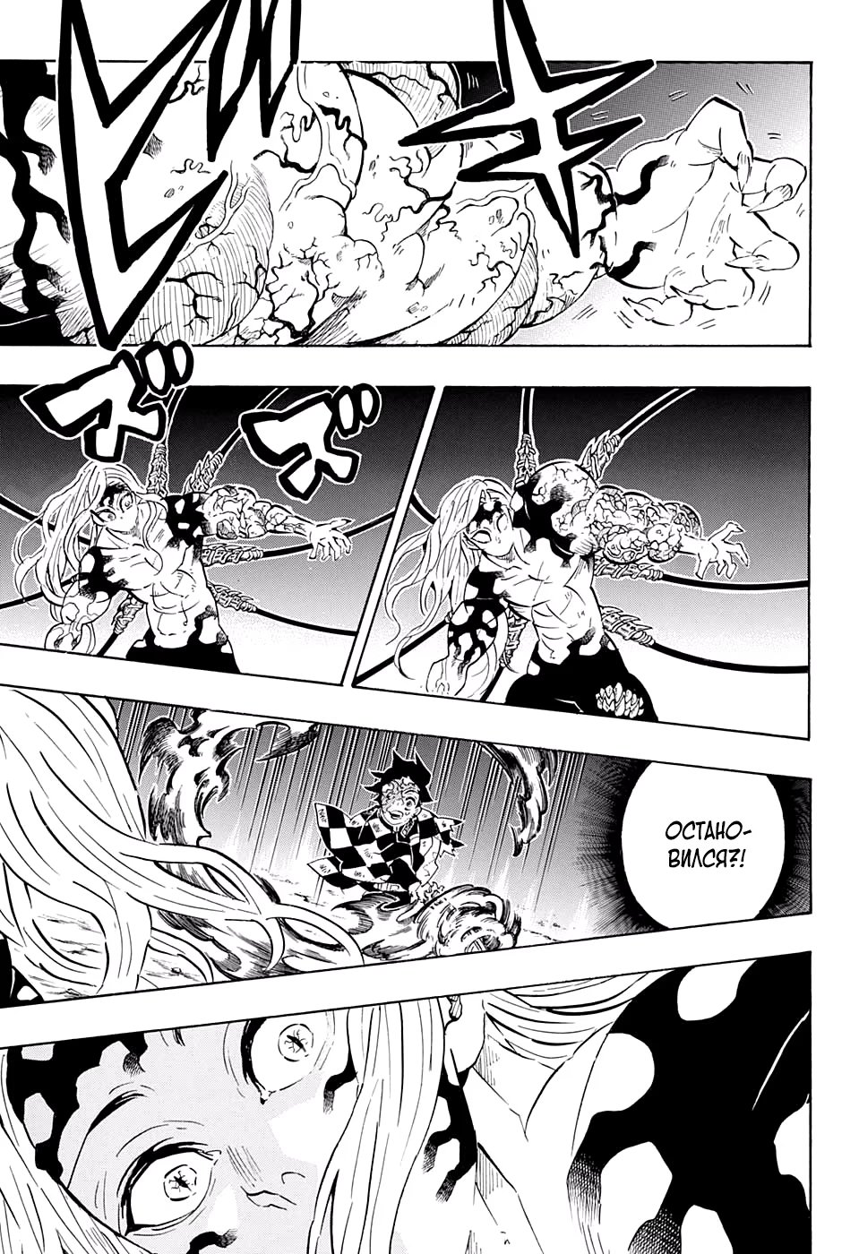 Страница 17 главы 196 манги Клинок, рассекающий демонов / Kimetsu no Yaiba
