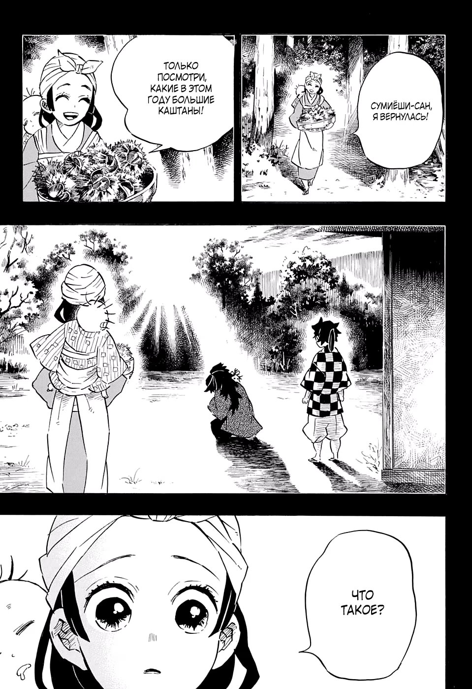 Страница 16 главы 187 манги Клинок, рассекающий демонов / Kimetsu no Yaiba