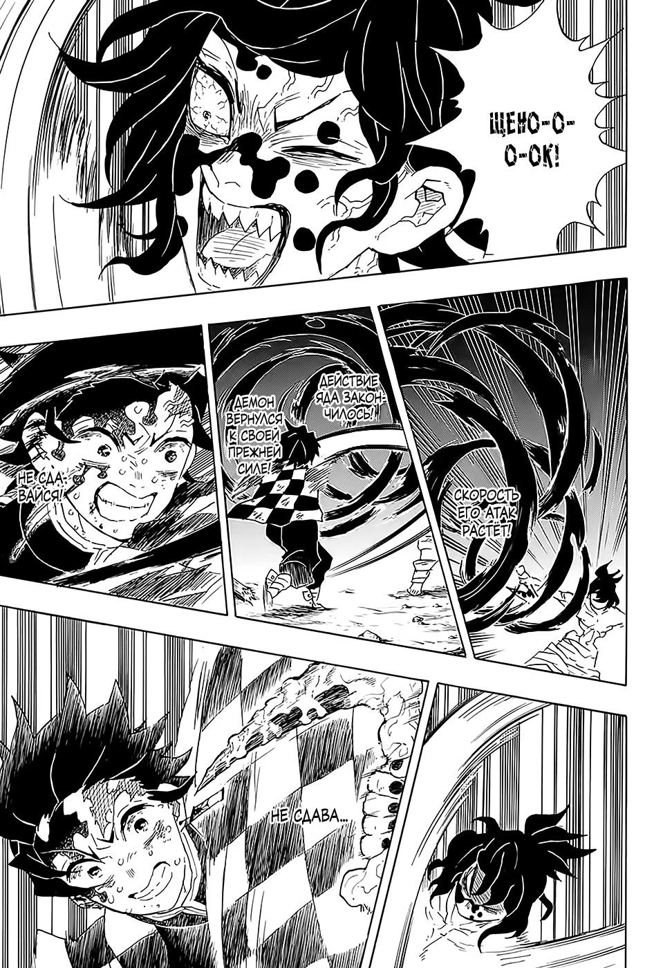 Страница 13 главы 93 манги Клинок, рассекающий демонов / Kimetsu no Yaiba