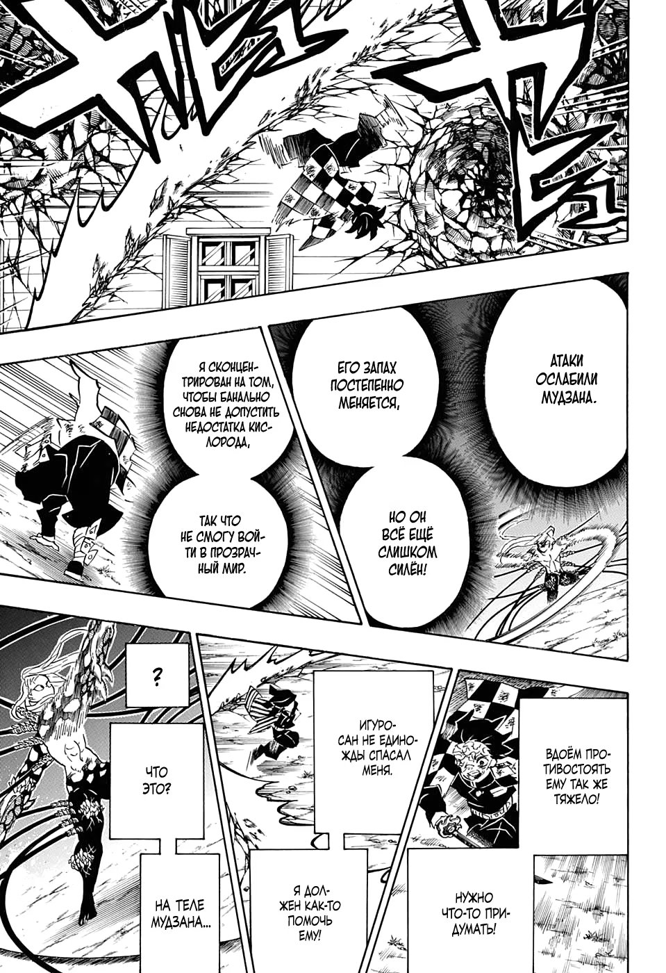 Страница 17 главы 194 манги Клинок, рассекающий демонов / Kimetsu no Yaiba