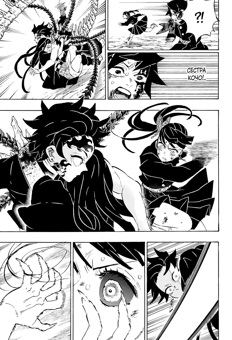 Страница 17 главы 202 манги Клинок, рассекающий демонов / Kimetsu no Yaiba