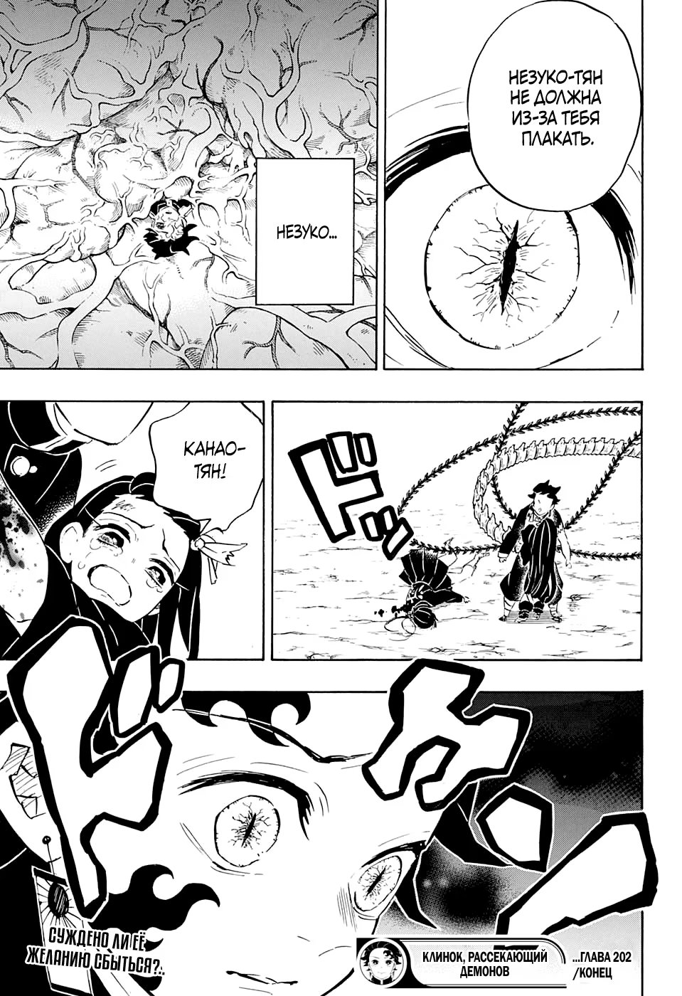 Страница 19 главы 202 манги Клинок, рассекающий демонов / Kimetsu no Yaiba