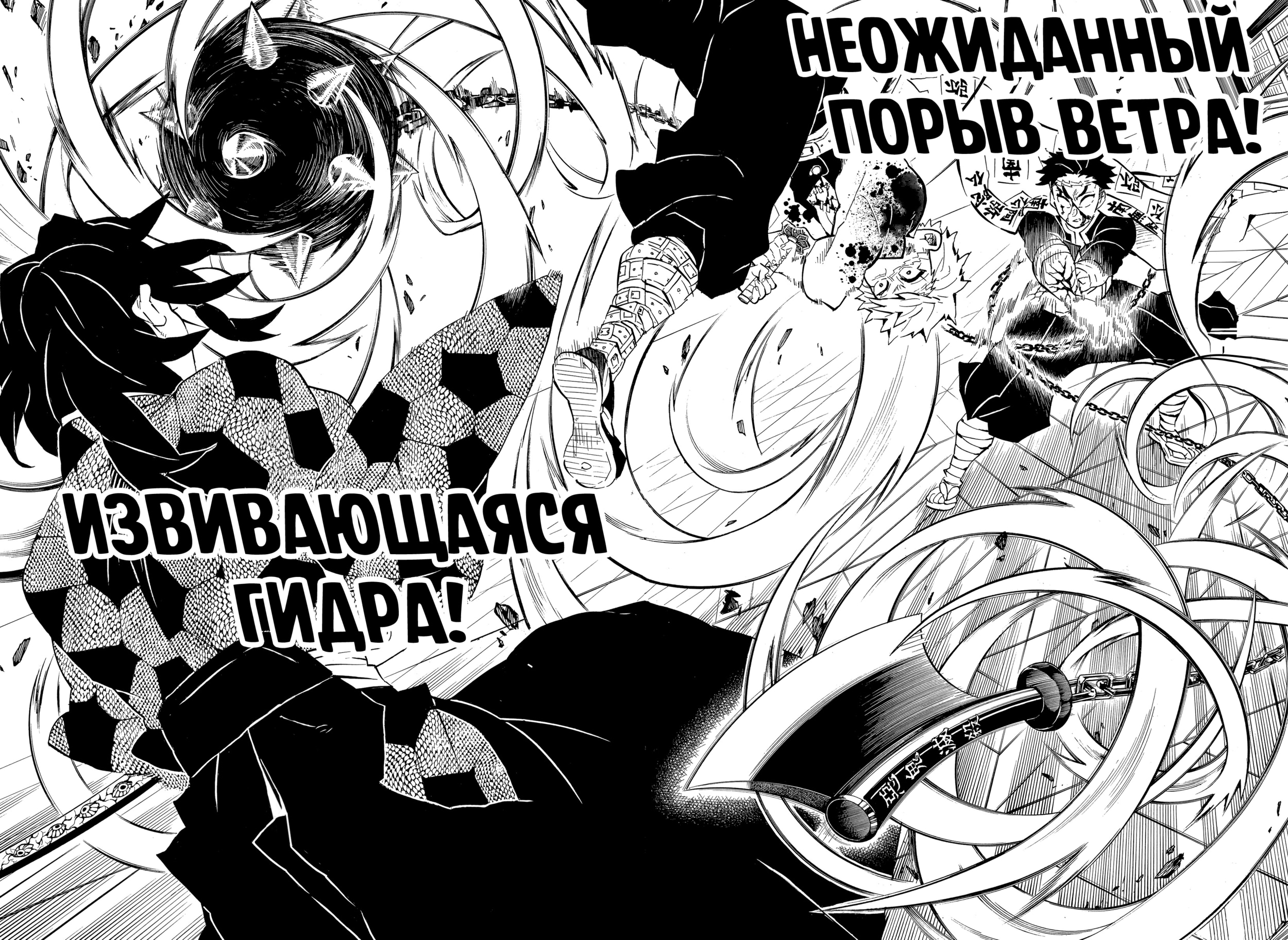 Страница 12 главы 171 манги Клинок, рассекающий демонов / Kimetsu no Yaiba