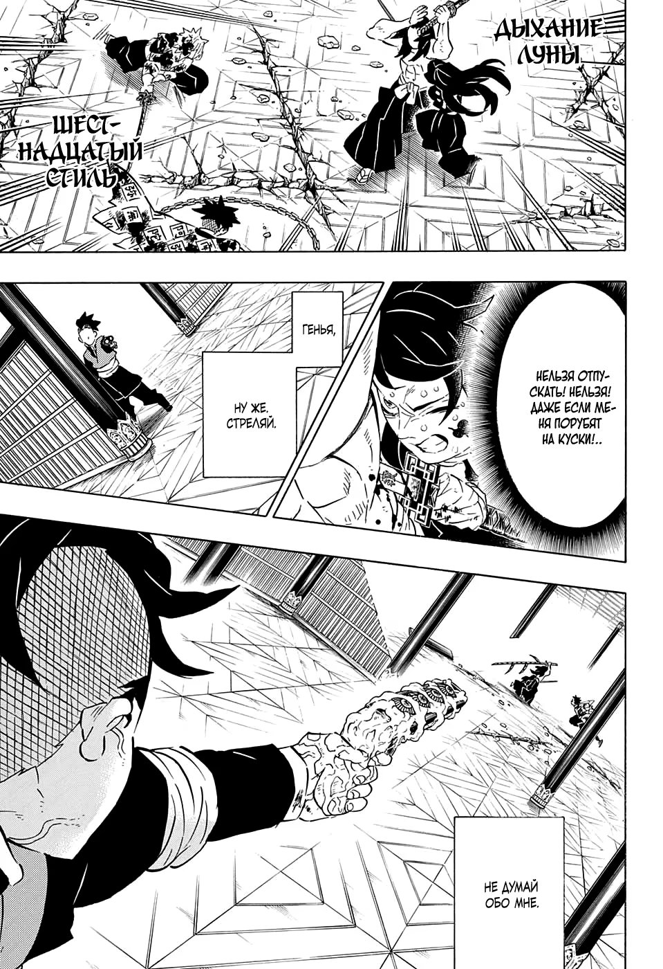 Страница 17 главы 173 манги Клинок, рассекающий демонов / Kimetsu no Yaiba