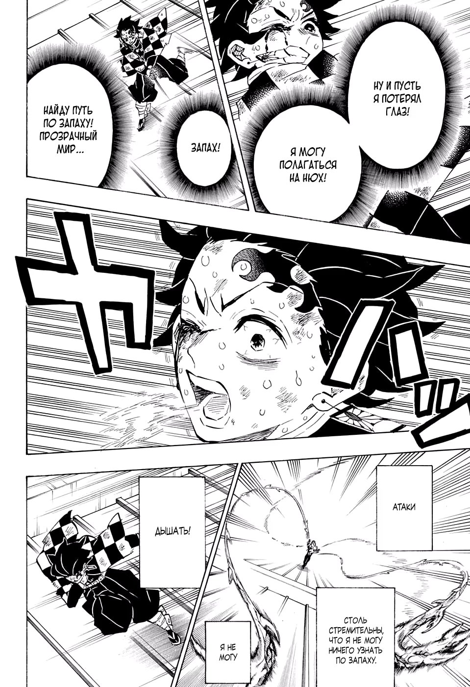 Страница 15 главы 182 манги Клинок, рассекающий демонов / Kimetsu no Yaiba