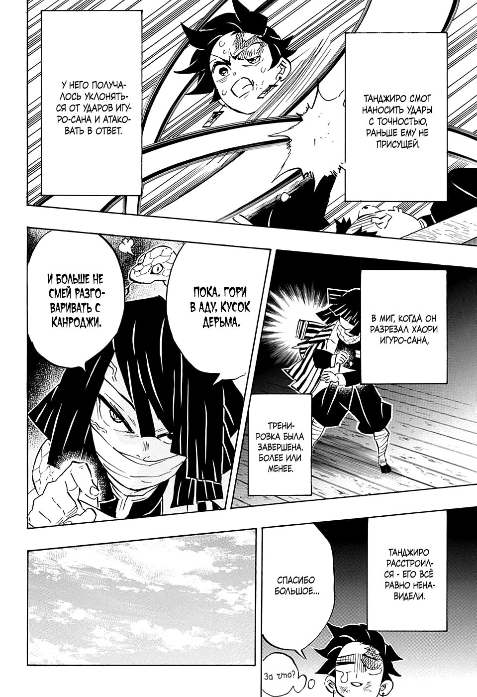 Страница 12 главы 132 манги Клинок, рассекающий демонов / Kimetsu no Yaiba