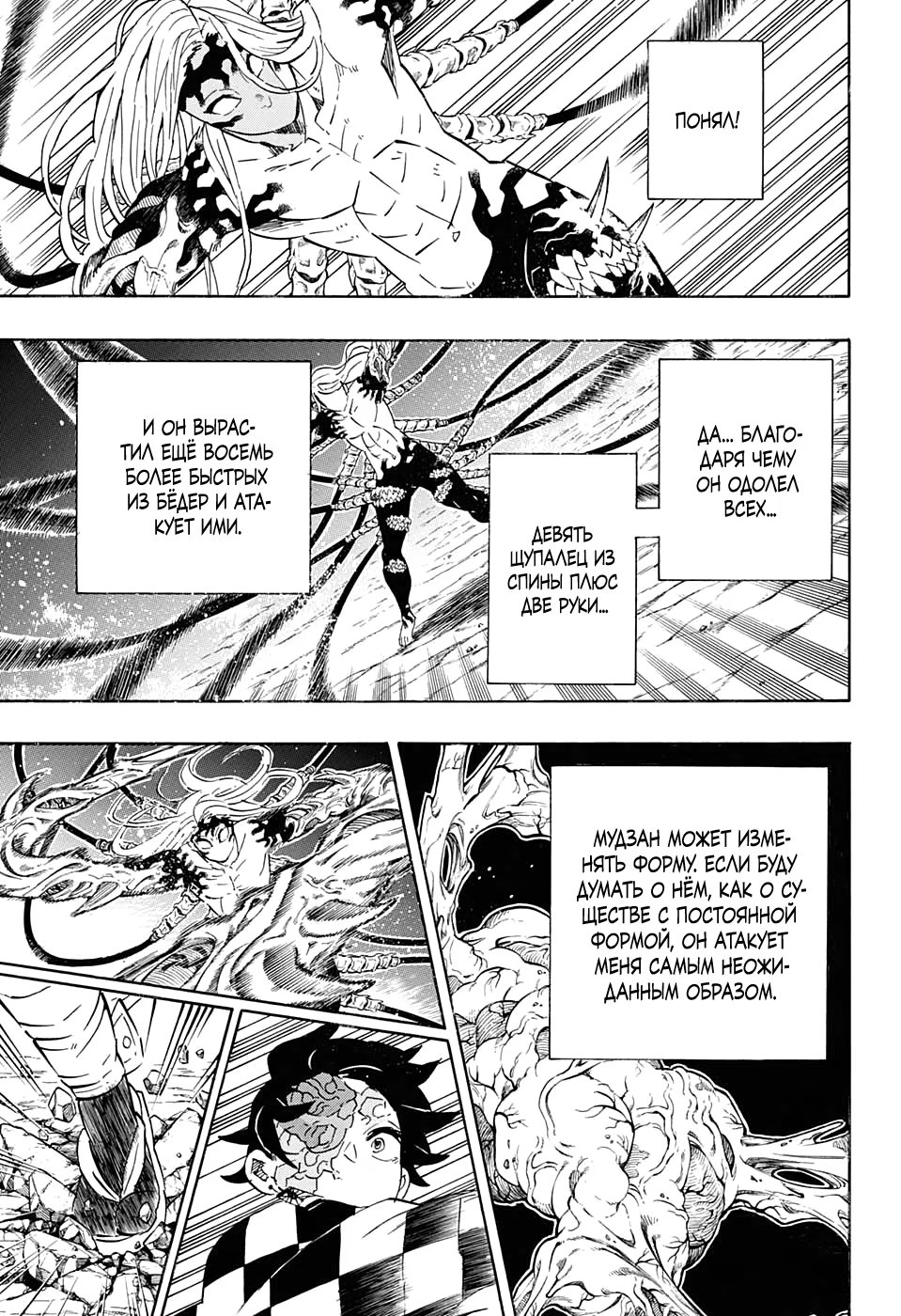 Страница 17 главы 192 манги Клинок, рассекающий демонов / Kimetsu no Yaiba