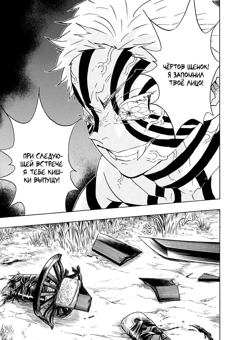 Страница 12 главы 67 манги Клинок, рассекающий демонов / Kimetsu no Yaiba