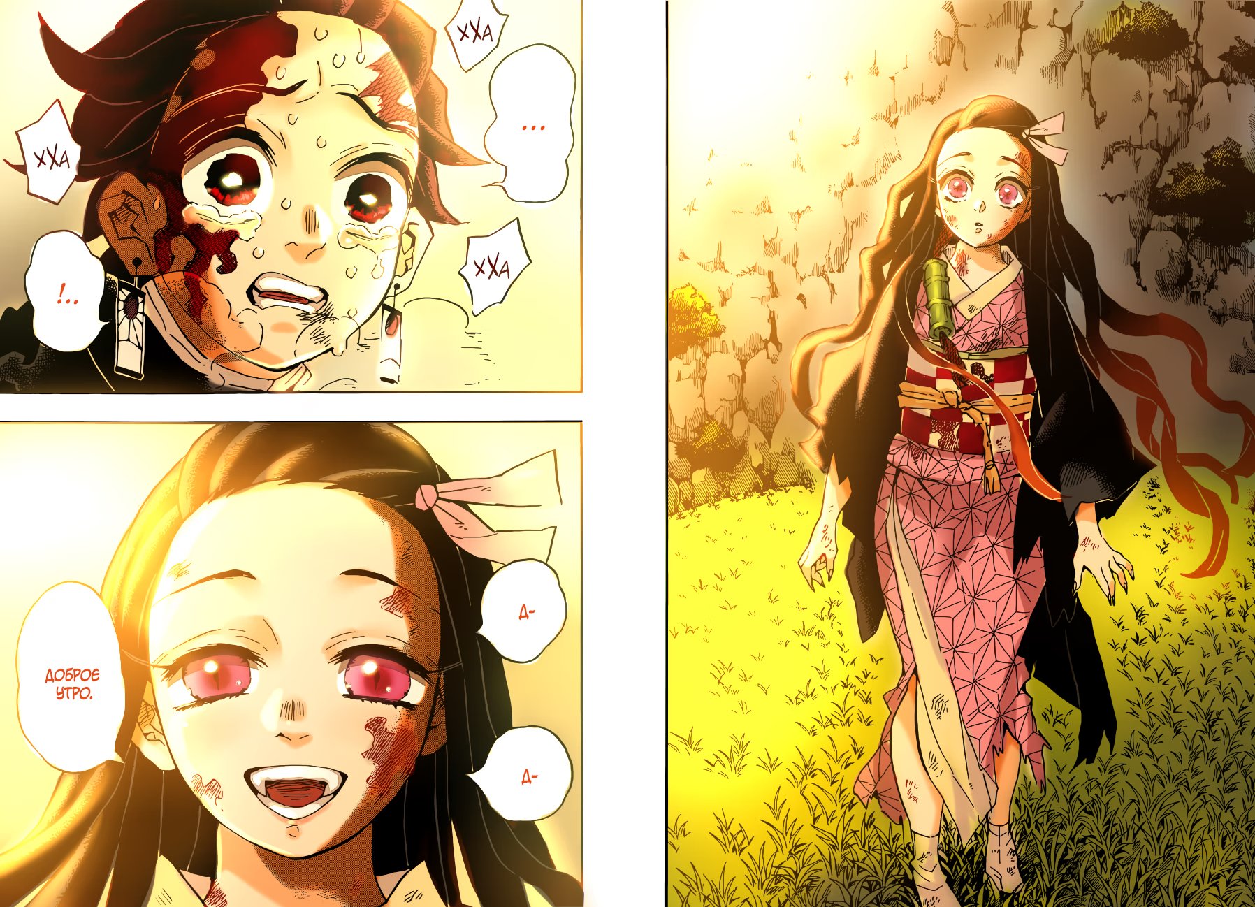 Страница 19 главы 126 манги Клинок, рассекающий демонов / Kimetsu no Yaiba