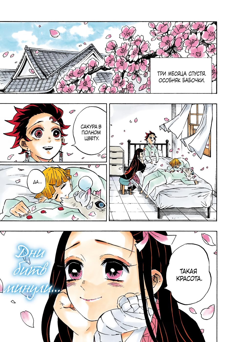 Страница 4 главы 204 манги Клинок, рассекающий демонов / Kimetsu no Yaiba