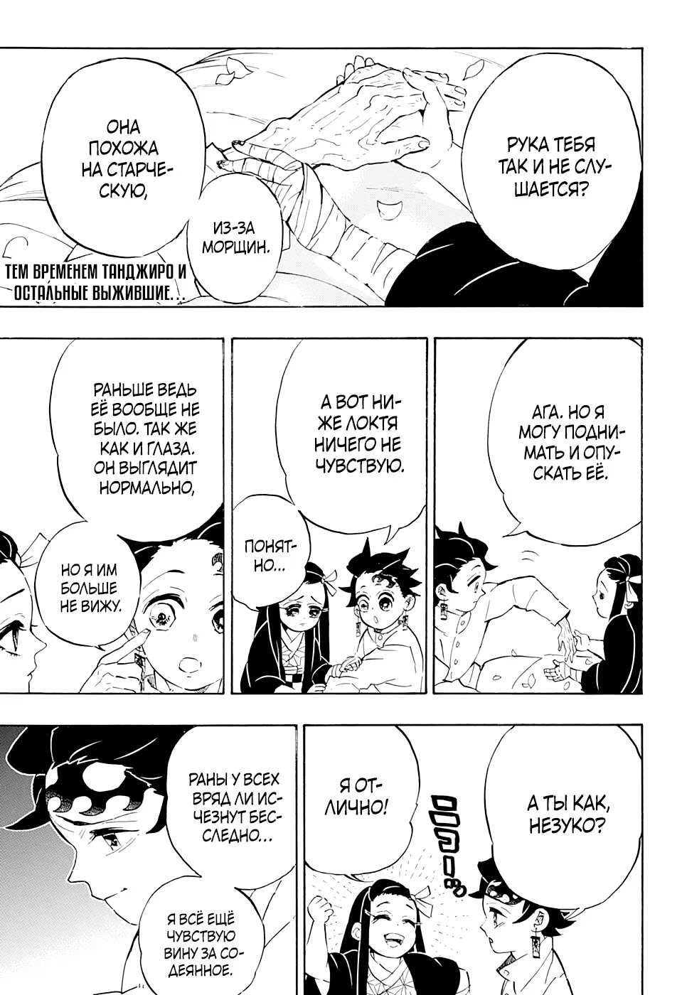 Страница 6 главы 204 манги Клинок, рассекающий демонов / Kimetsu no Yaiba
