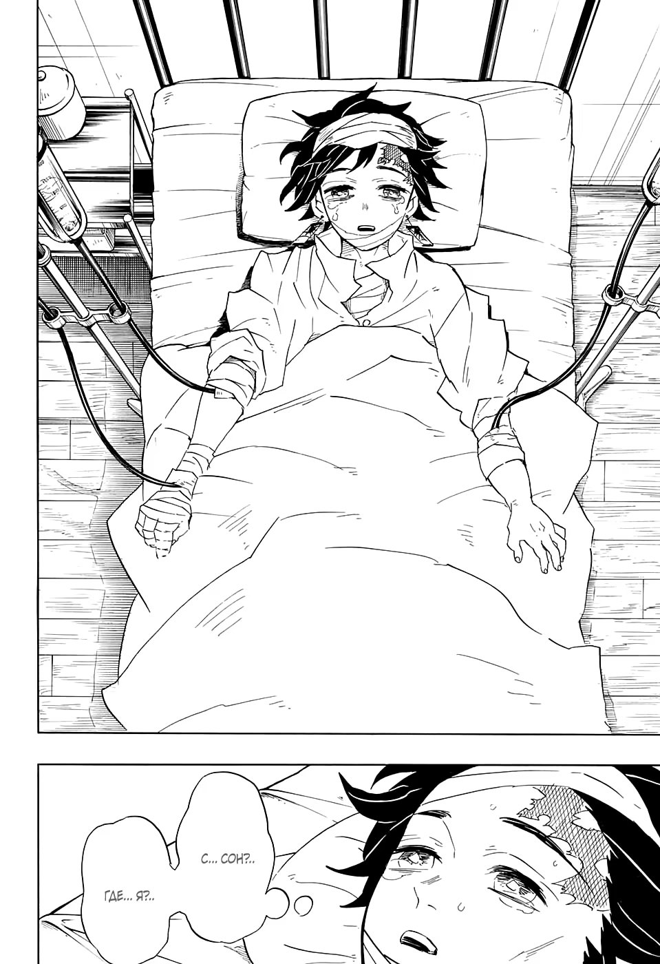 Страница 18 главы 99 манги Клинок, рассекающий демонов / Kimetsu no Yaiba