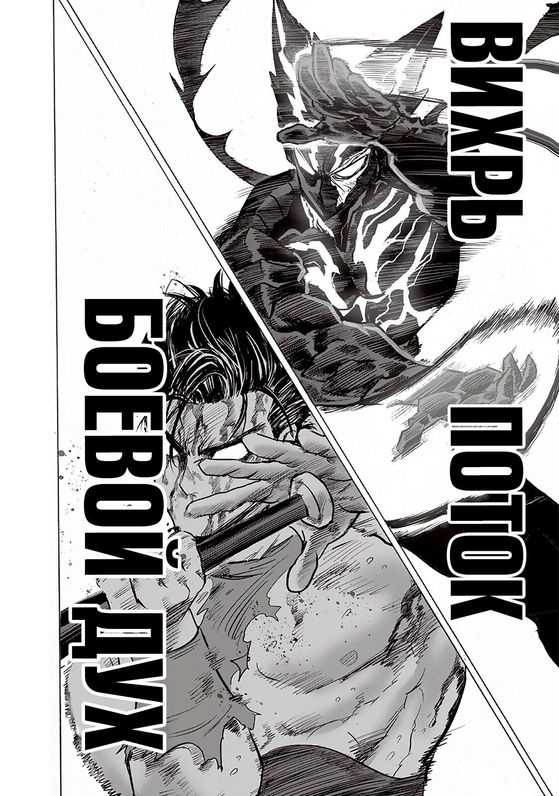 Страница 30 главы 203 манги Ванпанчмен / Onepunch-Man