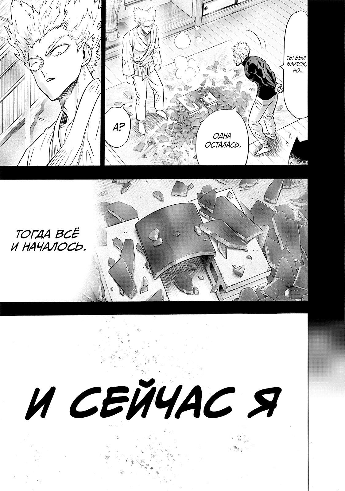 Страница 16 главы 204 манги Ванпанчмен / Onepunch-Man