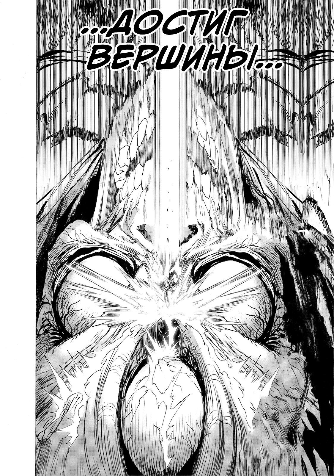 Страница 17 главы 204 манги Ванпанчмен / Onepunch-Man