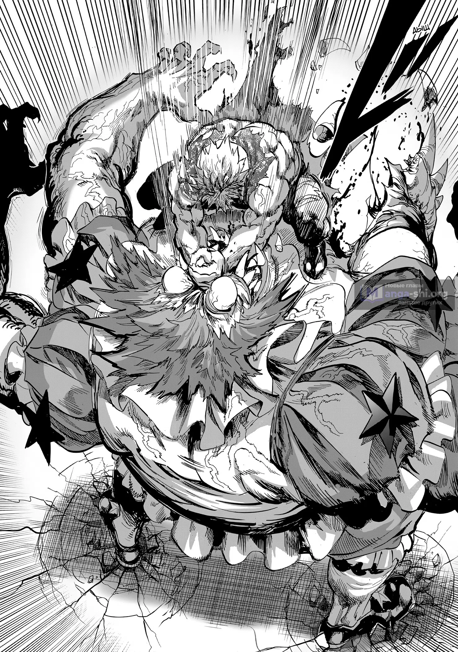 Страница 12 главы 262 манги Ванпанчмен / Onepunch-Man