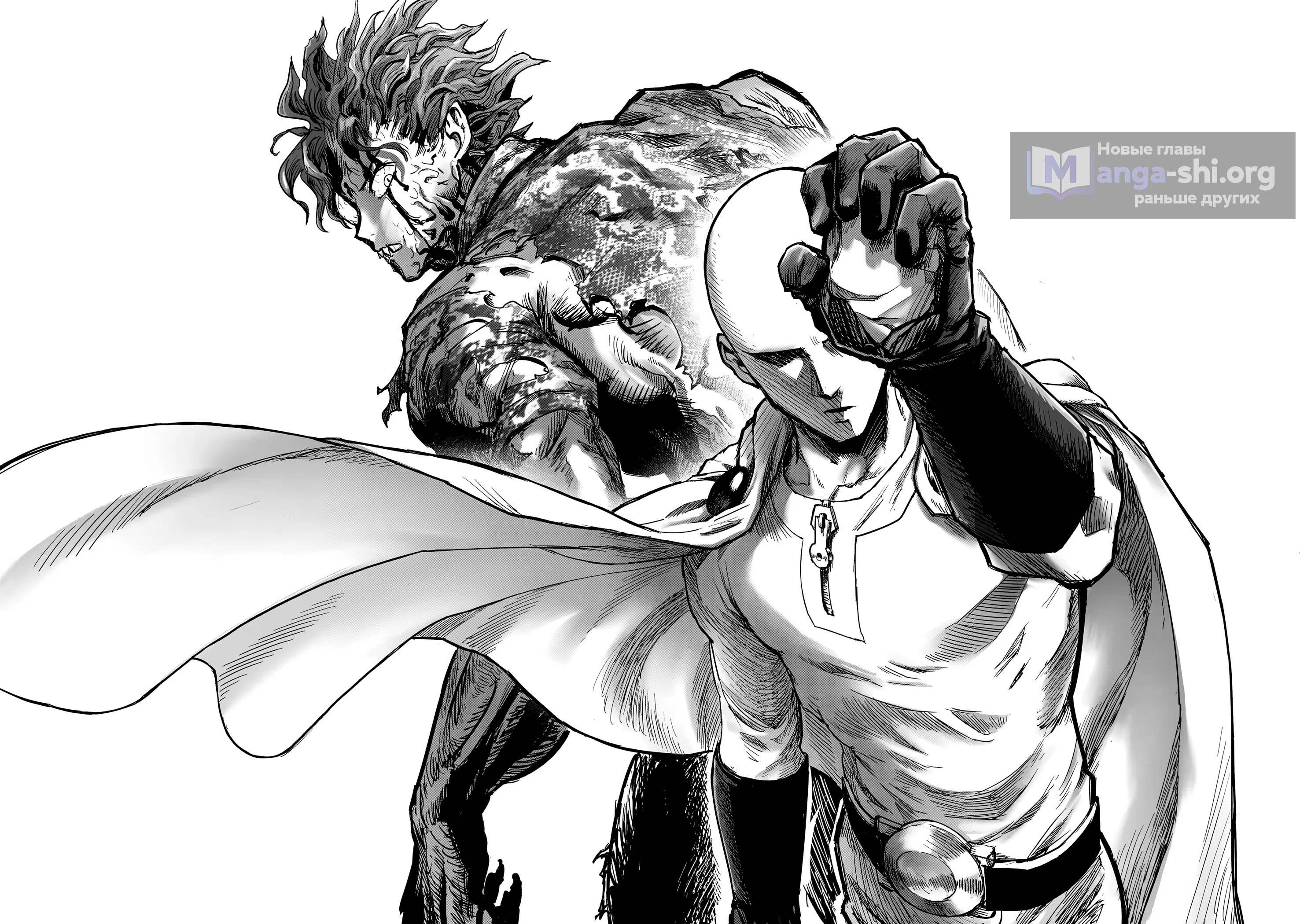 Страница 18 главы 262 манги Ванпанчмен / Onepunch-Man