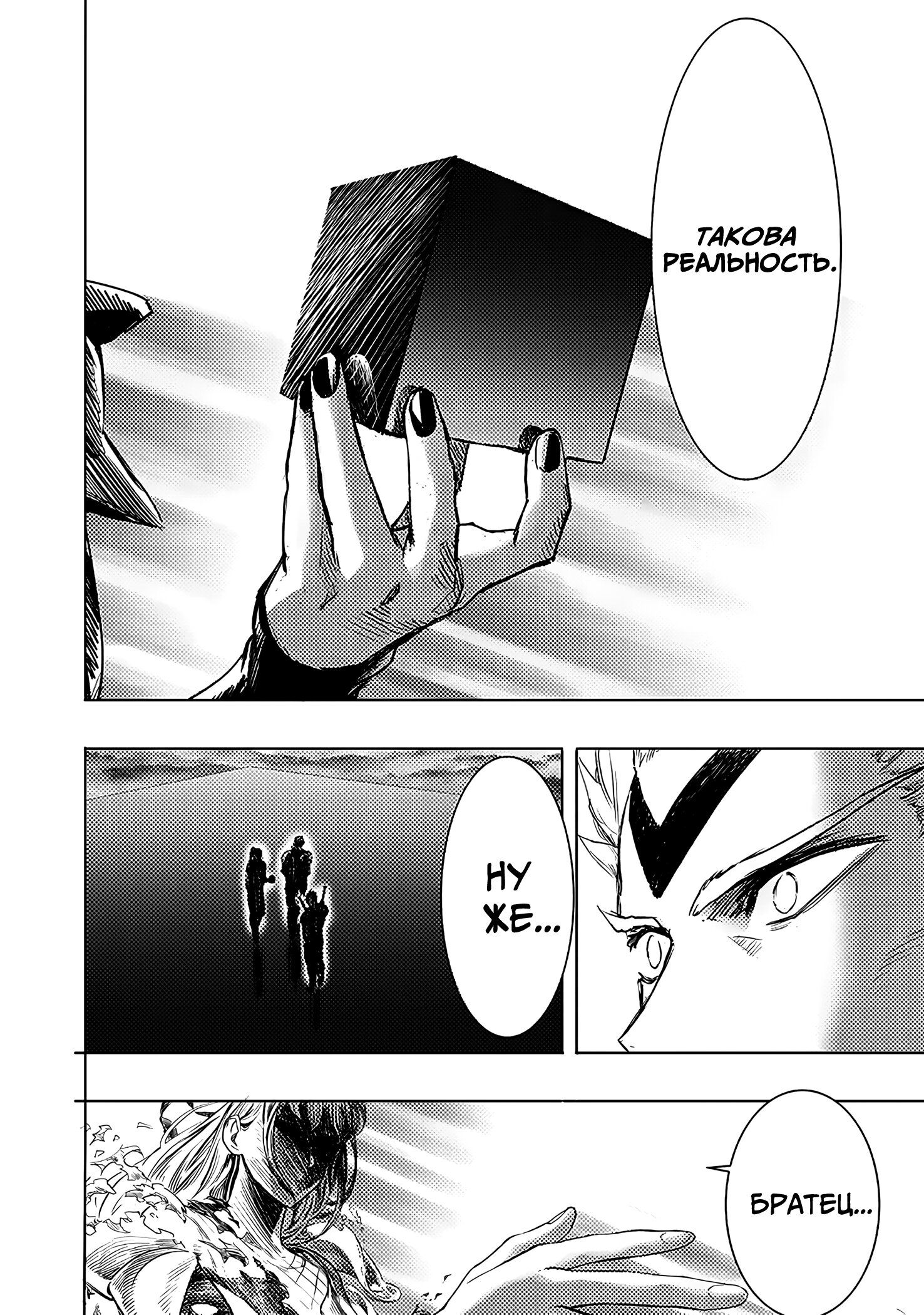 Страница 5 главы 256 манги Ванпанчмен / Onepunch-Man
